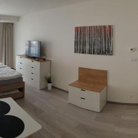 Apartment Korzo 318/3 Lipno nad Vltavou Εξωτερικό φωτογραφία